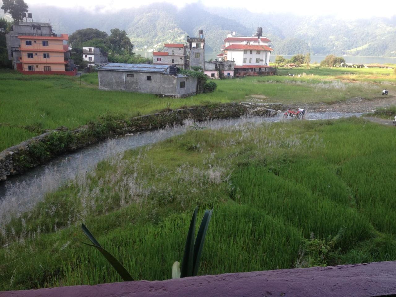 Bishnu Homestay Pokhara Ngoại thất bức ảnh