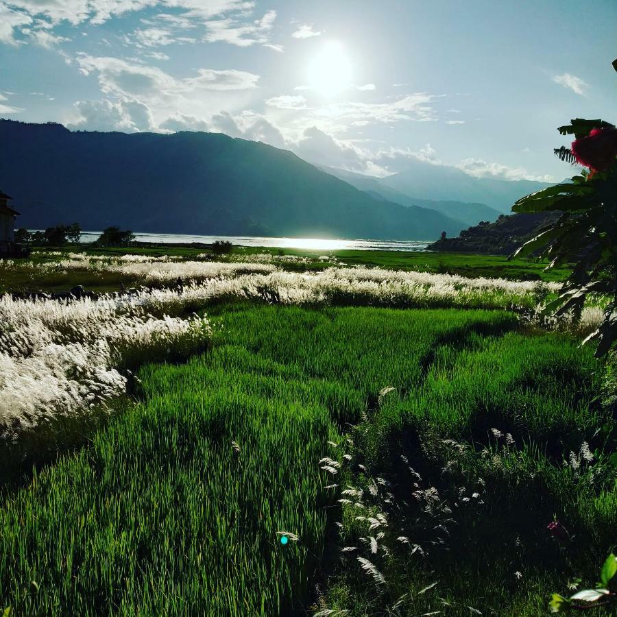 Bishnu Homestay Pokhara Ngoại thất bức ảnh